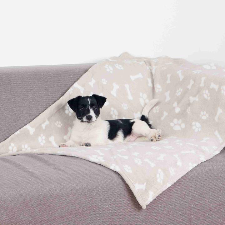 Immagine prodotto Trixie Kenny (Cane)