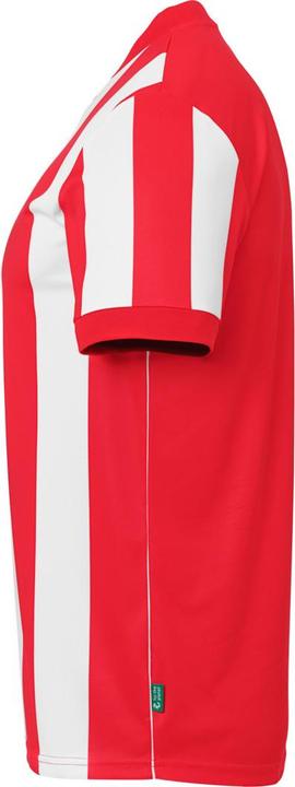 Actual product image Uhlsport Retro Stripe (XL)