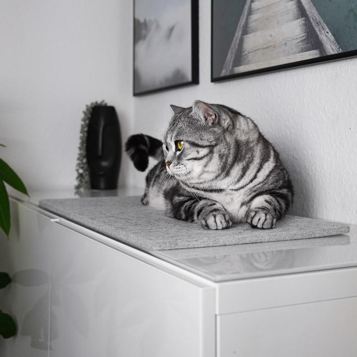 Immagine prodotto LucyBalu FELTY Fensterbrettauflage (Gatto)