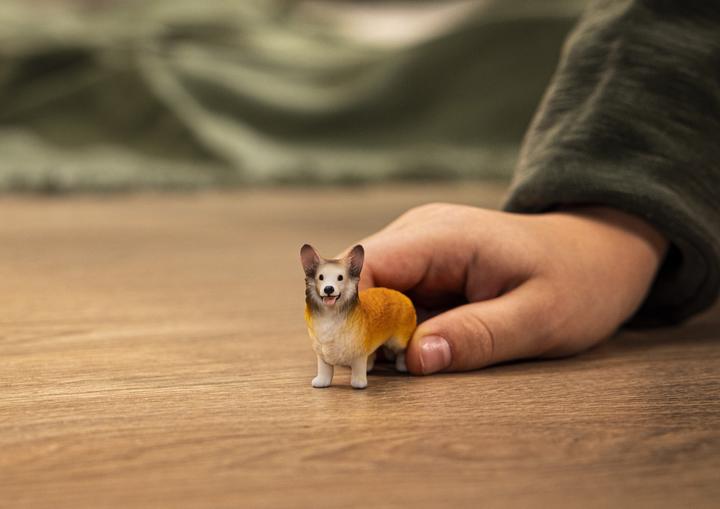 Produktbild Schleich Welsh Corgi