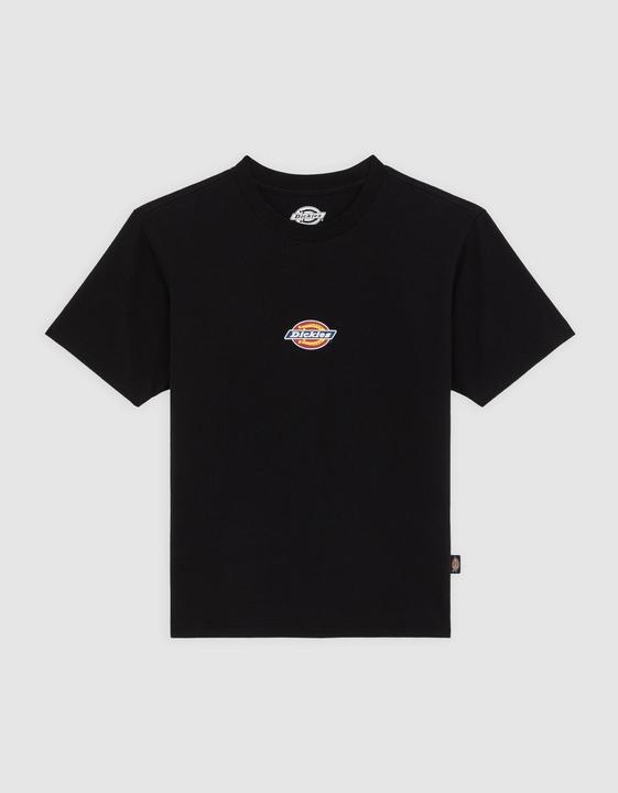 Dickies Maple Valley Reg Tee W Black