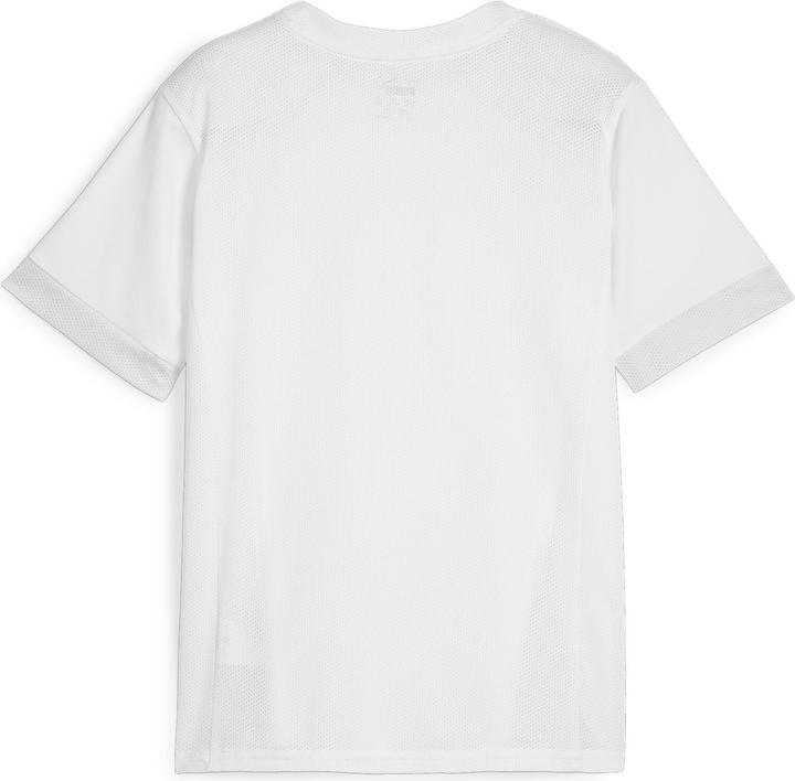 Actual product image Puma teamGOAL Matchday Jersey jr (152)