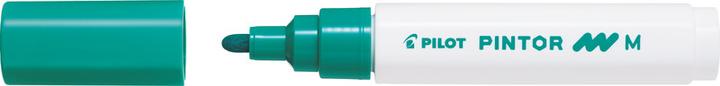 Actual product image Pilot Pintor Medium Set à 6 Standard (Multicoloured, 1.40 mm, 6 x)