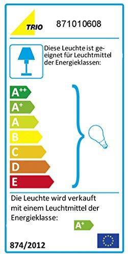 Energie-Label Trio Levisto (470 lm, E14)