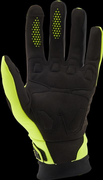 Produktbild Fox Defend Thermo Glove CE (L)
