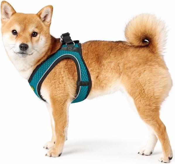 Actual product image Hunter Dog harness Hilo Comfort (XXS, Dog, General)
