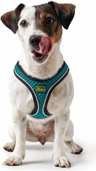Produktbild Hunter Hundegeschirr Hilo Comfort (XXS, Hund, Allgemein)