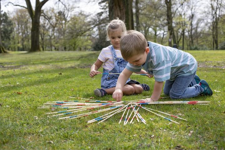 Immagine prodotto Eichhorn Mikado XL all'aperto (Tedesco, Francese, Italiano, Inglese)