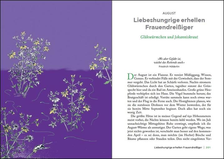 Image du produit Überall ist Garten (Allemand, Eva Rosenkranz, 2019)