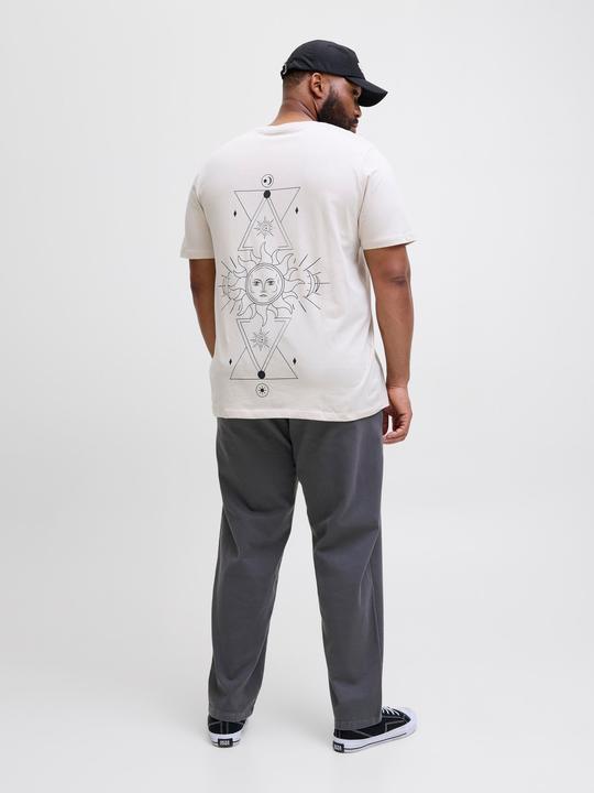 Produktbild Jack & Jones Jpstkane Fctry Fabric2 L2 Chino Pant Pls (W50/L32)