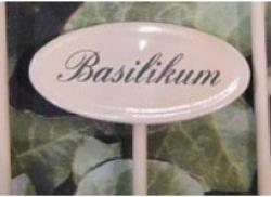 Spice Stick Basil 20 cm (20 cm)