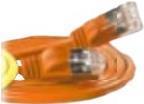 Actual product image Wirewin Network cable (F/FTP, CAT6, 0.15 m)