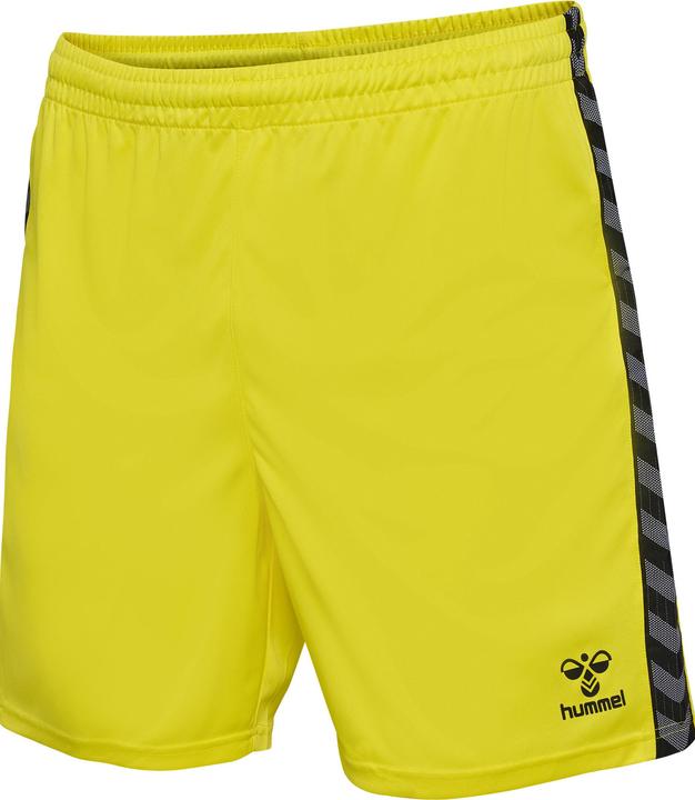 Image du produit hummel Hmlauthentic Pl Shorts (XXL)