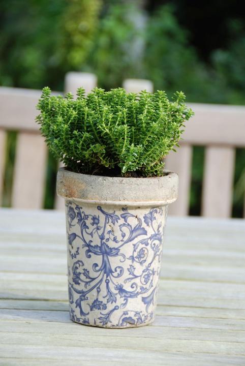 Actual product image Esschert Design Flowerpot Aged Long Tom Flowerpot (13 cm)