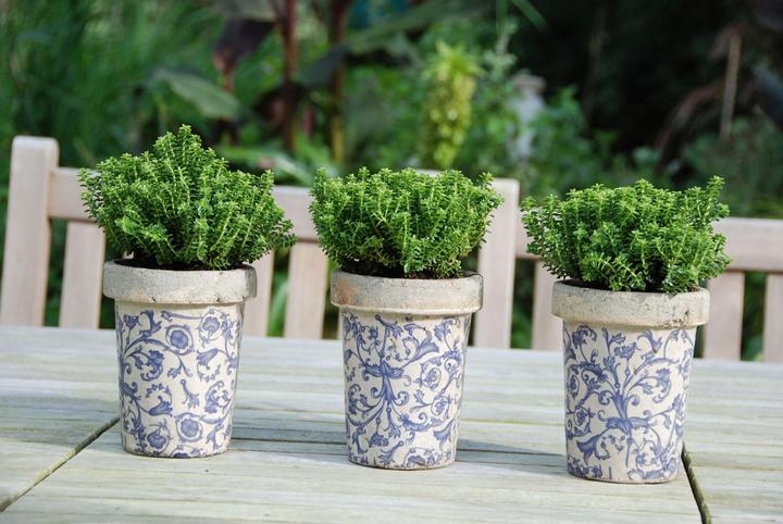 Actual product image Esschert Design Flowerpot Aged Long Tom Flowerpot (13 cm)