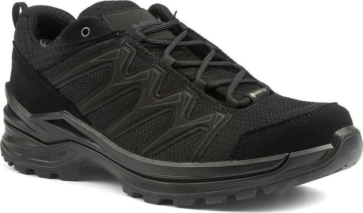 Image du produit Lowa Innox Pro GTX LO TF (44)