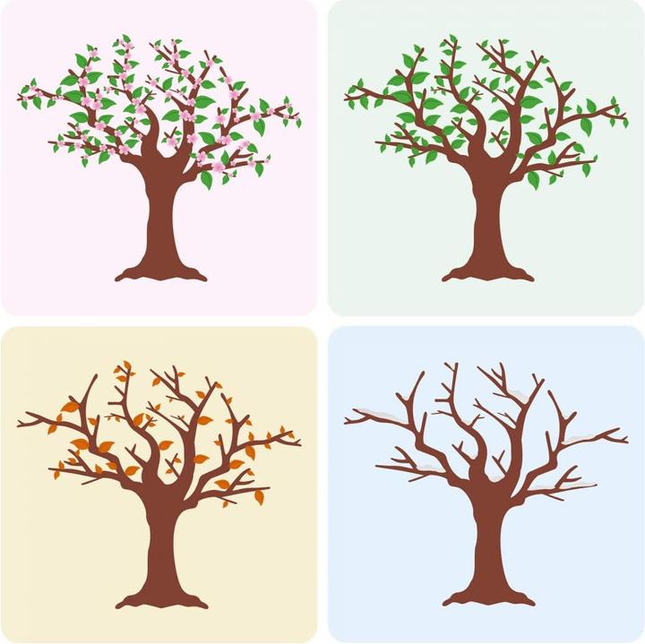 Immagine prodotto Trenddeko Quartetto Quattro Stagioni (40 x 40 cm, 80 x 80 cm, 60 x 60 cm, 100 x 100 cm)