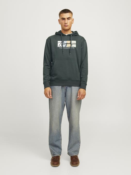Actual product image Jack & Jones Jorportland Block Sweat Hood Ln (S)