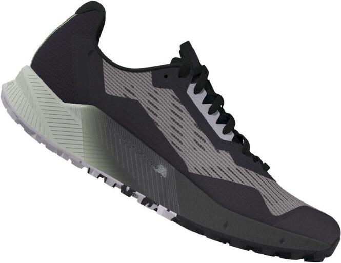 Image du produit adidas Terrex Agravic Flow 2 GTX (42)