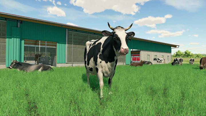 Actual product image Giants Software Farming Simulator 22 (PS4, FR, IT)