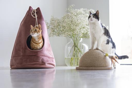 Image du produit Designed by Lotte Vilar (Chat)