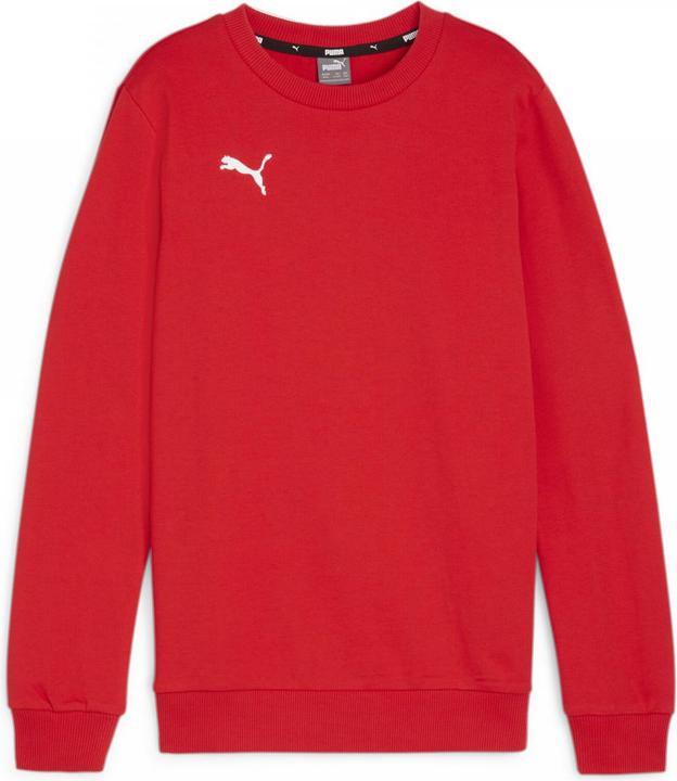 Actual product image Puma teamGOAL Casuals Crew Neck Sweat Jr (164)