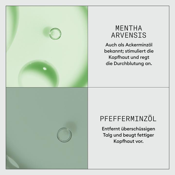 Actual product image Nioxin Dermabrasion Scalp Renew Treatment (75 ml)