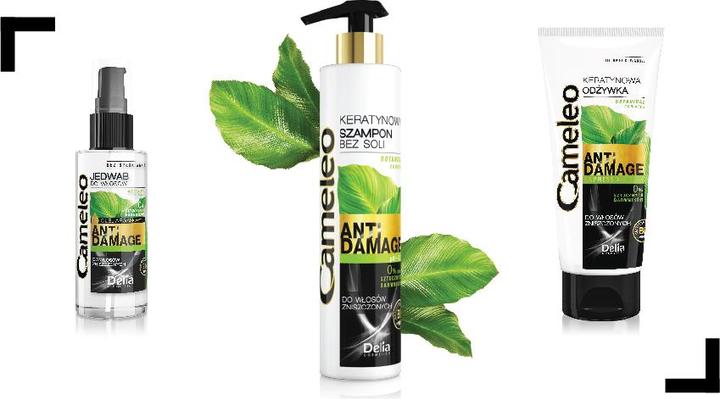 Produktbild Delia Cosmetics Cameleo BB (55 ml)