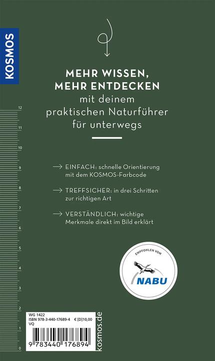 Immagine prodotto Kosmos Basic Greifvögel und Eulen (Tedesco, Volker Dierschke, 2023)