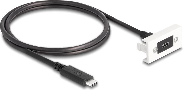 Actual product image Delock Easy 45 Module SuperSpeed USB 10 Gbps (1 m, USB 3.2 Gen 2)