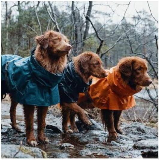 Image du produit Hurtta Imperméable de mousson gris foncé (50, M, Imperméable pour chien)