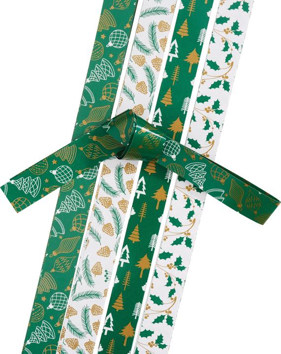 Image du produit Gebrüder Bertels Bandes de papier, 15 mm, 48 bandes
