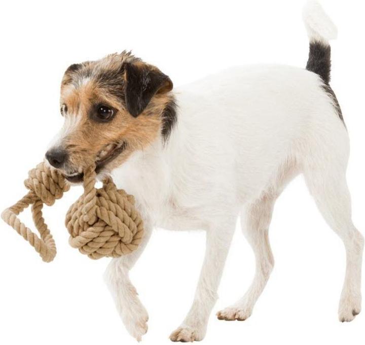 Produktbild Trixie Spieltau mit Ball (Beschäftigungsspielzeug Hund)
