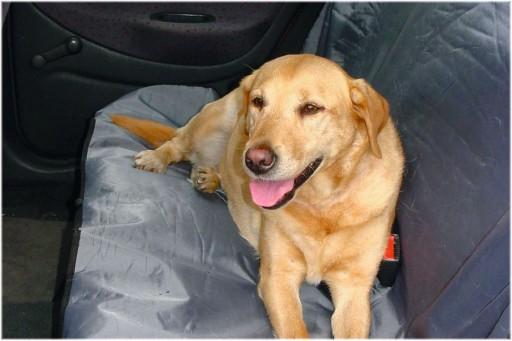 Immagine prodotto Beeztees Bz Protezione Auto Universale (Cane, Lavabile)