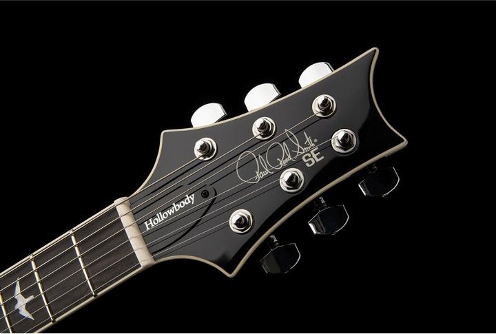 Actual product image PRS SE Hollowbody Standard | Dog Hair Smokeburst (Electric guitar, Mahogany, mahogany)