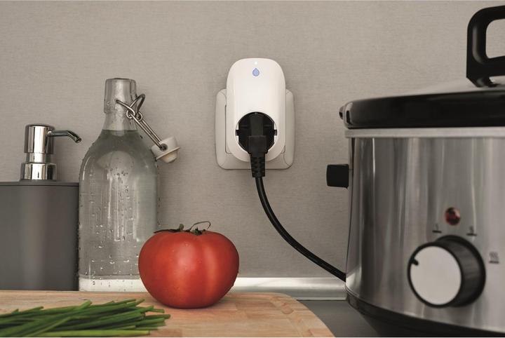 Actual product image Shelly Plug