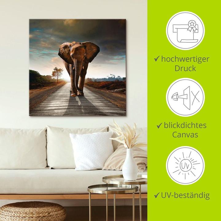 Produktbild Artland Ein Elefant läuft auf der Strasse T9QO (50x50 cm)