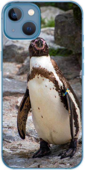 Pinguin