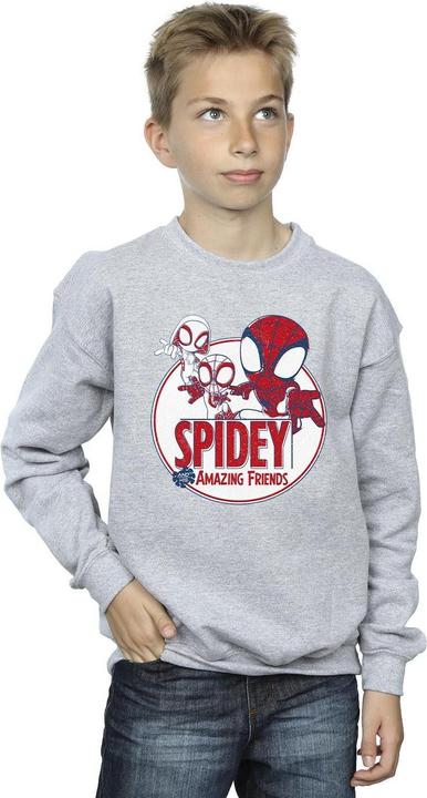 Produktbild Spidey And His Amazing Friends Circle Sweatshirt Jungen (140, 146)