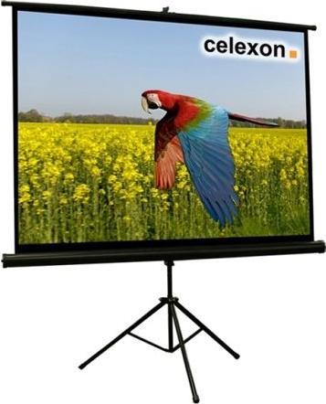 Actual product image Celexon Eco tripod, screen, 4:3 (104.33", 4:3)