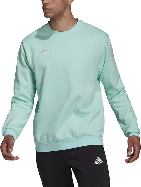 Produktbild adidas Entrada 22 Sweatshirt (XS)