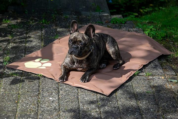 Image du produit Dobar Tapis réfrigérant avec patte beige 99,5 x 70 cm marron (Chien)