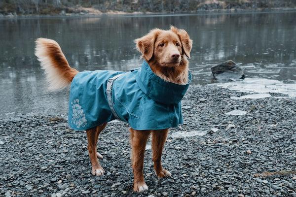 Immagine prodotto Hurtta Cappotto Monsoon mirtillo (40, Cappotto per cani)