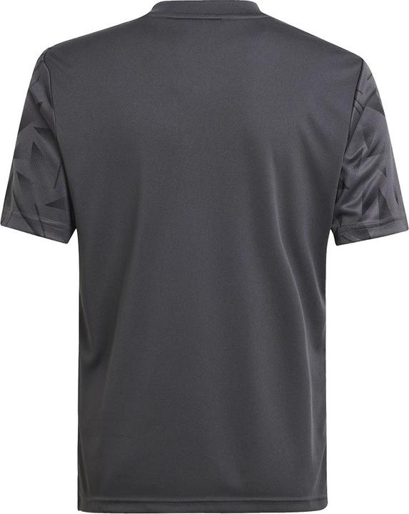 Image du produit adidas Maillot Team Icon 25 Enfants (176)