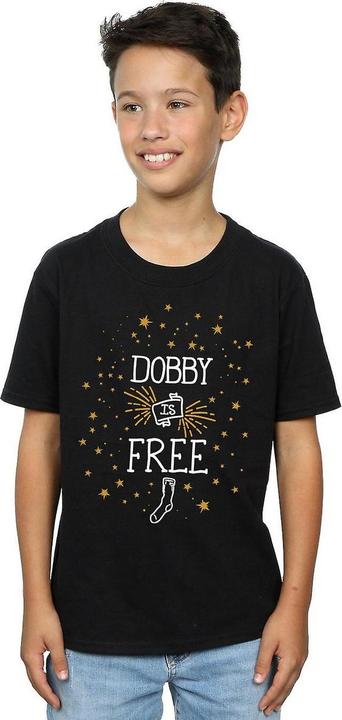 Actual product image Boys Dobby Is Free Cotton T-Shirt (140, 146)