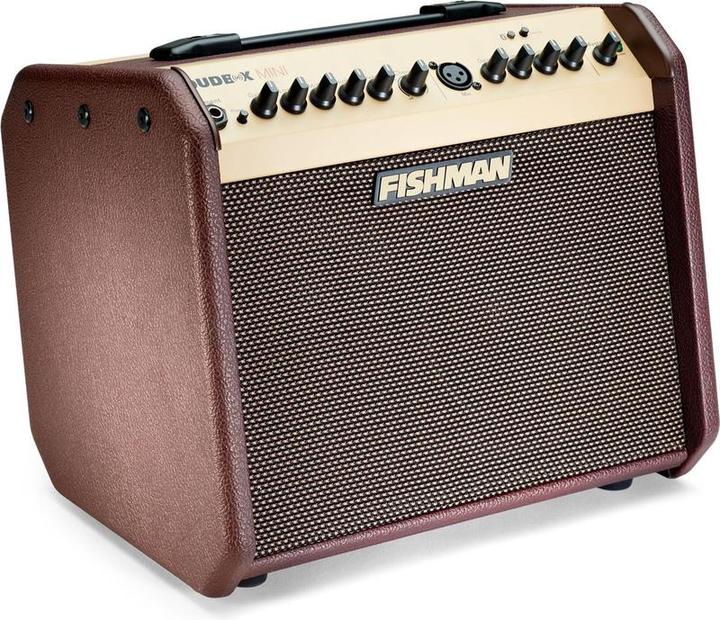 Immagine prodotto Fishman PRO-LBT-500 Mini amplificatore per chitarra acustica Bluetooth Loudbox (Chitarra)
