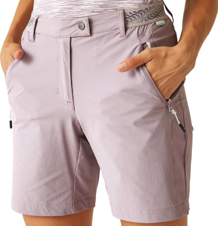 Actual product image Regatta Womens/Ladies Mountain II Shorts (44 D)