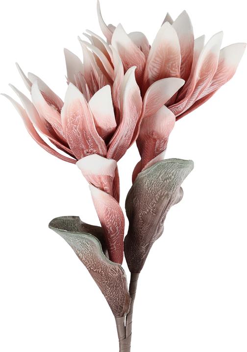 Immagine prodotto EGLO LIVING Molave (28 cm)