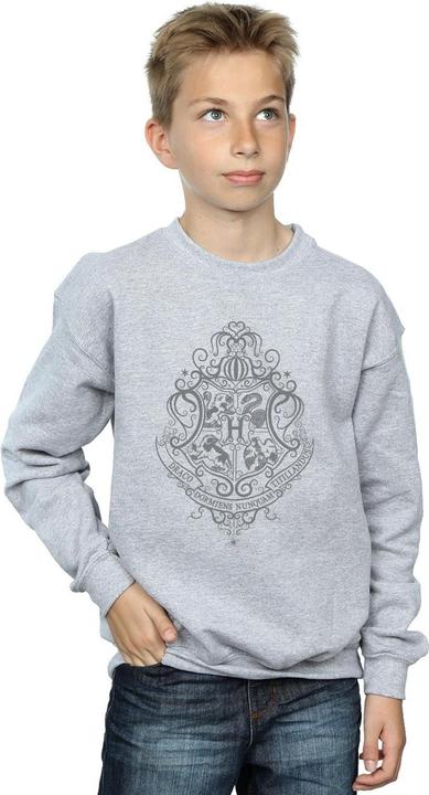 Image du produit - Sweat HOGWARTS DRACO DORMIENS CREST - Garçon (128)