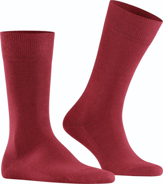 Falke Family SO (Einzelpack, 47 - 50)